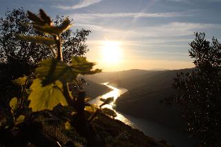 Socalcos Do Douro House fotoÄŸrafÄ±