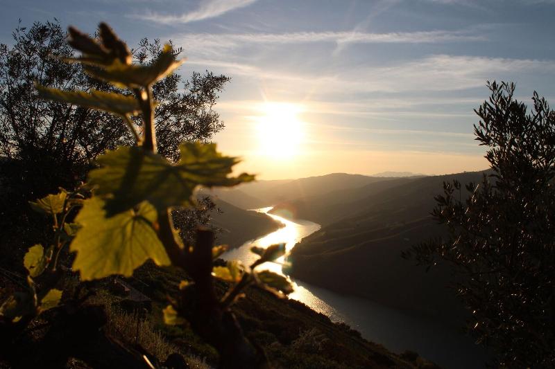 Socalcos Do Douro House - Genel