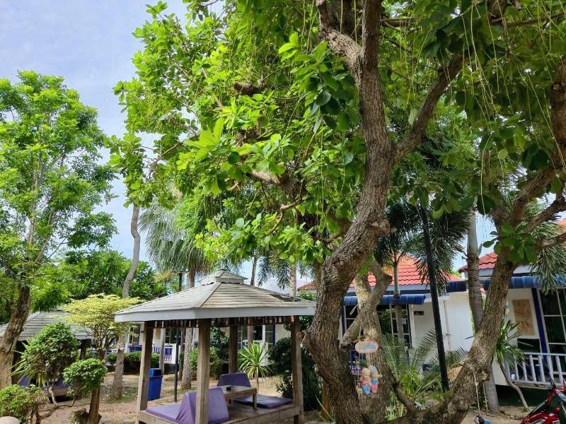The Light House Resort Kohlarn - Genel