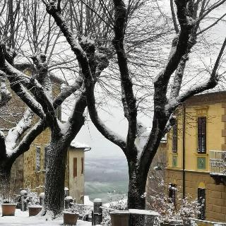Albergo Giardino fotoÄŸrafÄ±