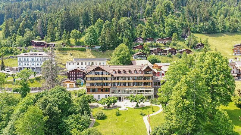 Parkhotel Beatenberg - Genel