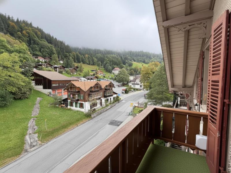 Parkhotel Beatenberg - Genel