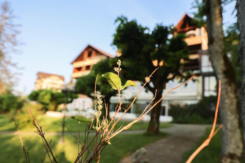 Parkhotel Beatenberg - Oda