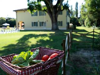 Elizabeth Country House A Member Of Design Hotels fotoÄŸrafÄ±