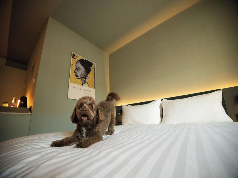 The Rebyl Nijmegen A Tribute Portfolio Hotel - Genel