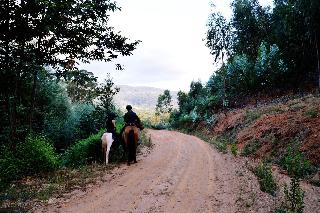 Bed And Breakfast Equitare Rural fotoÄŸrafÄ±