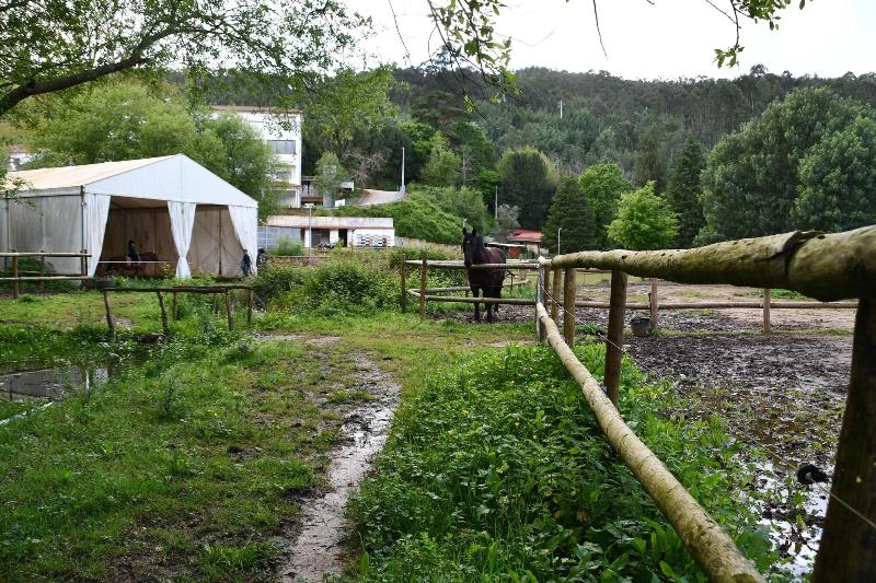 Bed And Breakfast Equitare Rural - Genel