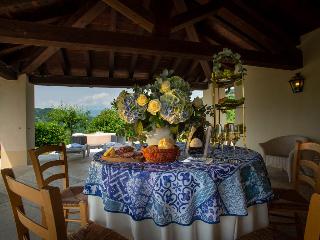 Tenuta Castagnera fotoÄŸrafÄ±