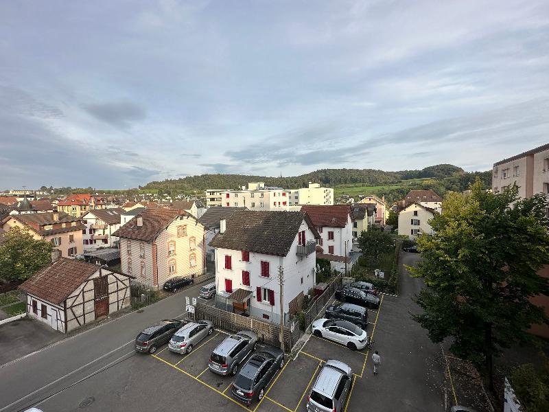 Hotel Rheinfall - Genel