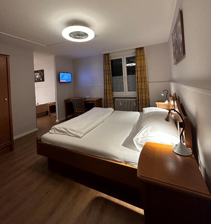 Hotel Rheinfall - Oda