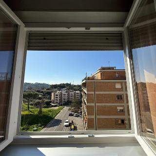Hotel Grifone fotoÄŸrafÄ±