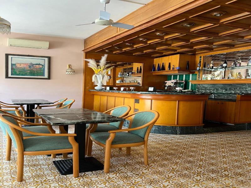 Hotel Grifone - Genel