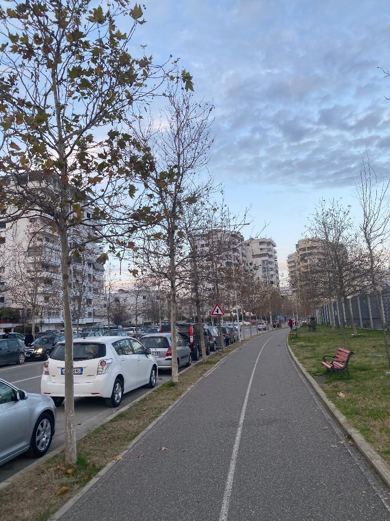 Enles - Genel