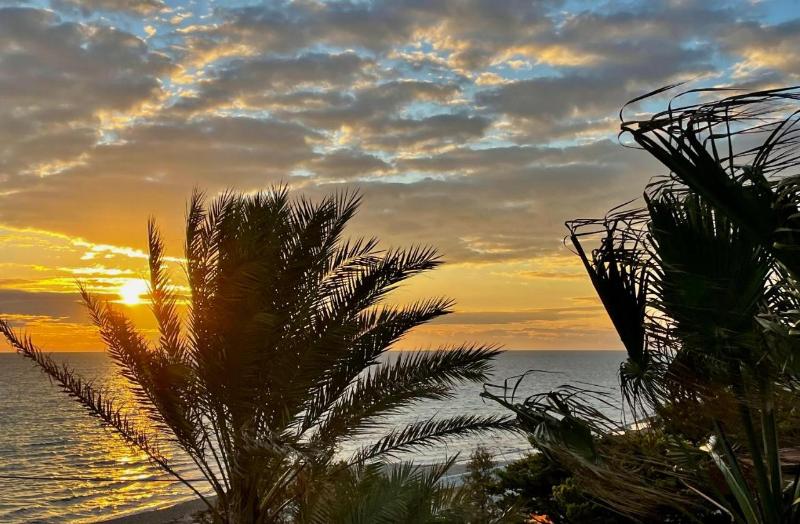 Playa Paraiso Beach Resort - Genel