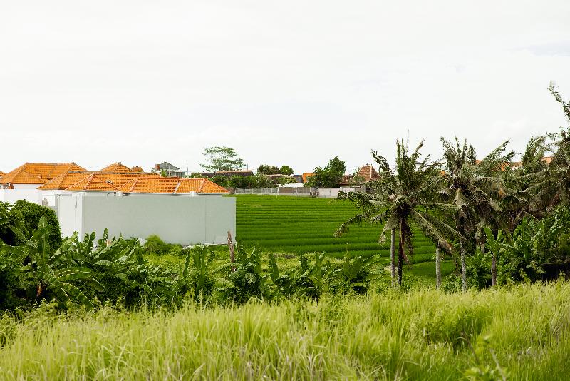 Five Stories Villa By Suom - Lobi