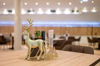 Goldhirsch Superior Aparthotel Wagrain fotoÄŸrafÄ±