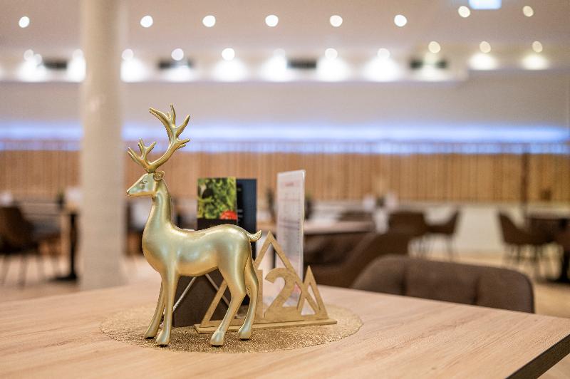 Goldhirsch Superior Aparthotel Wagrain - Lobi