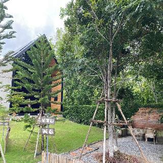 Take Time Nature Resort fotoÄŸrafÄ±