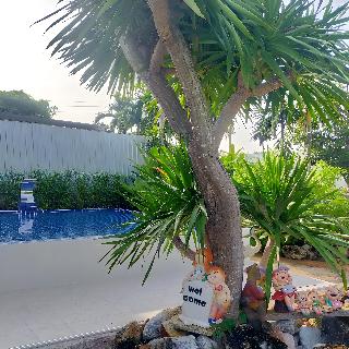 Davy's Cottage Phuket By Zuzu fotoÄŸrafÄ±