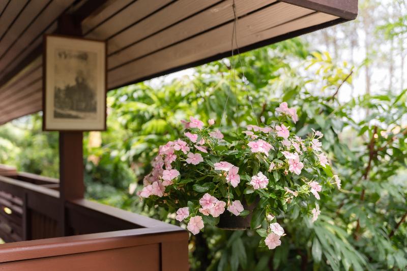 Guru Resort Chiang Mai By Zuzu - Genel