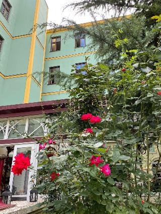 Hotel Viki fotoÄŸrafÄ±
