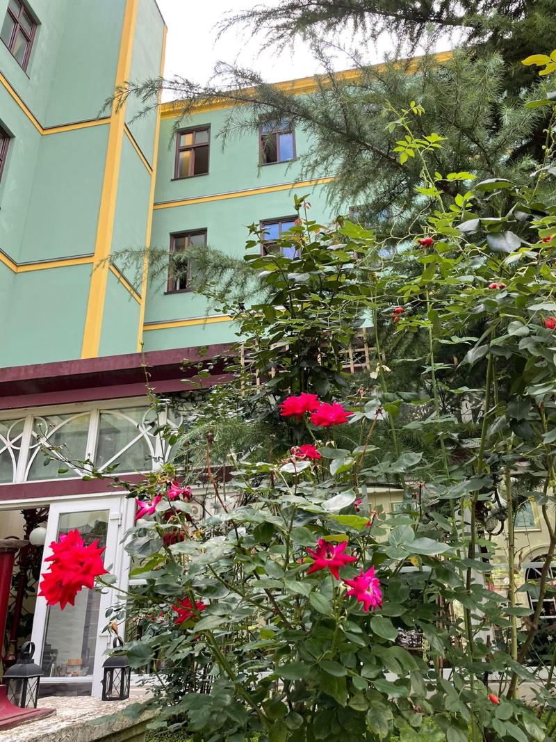 Hotel Viki - Genel