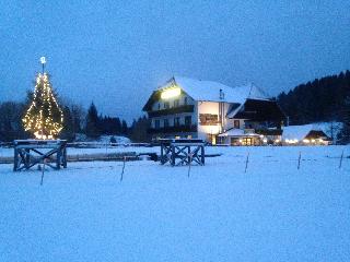 Jerà am Furtnerteich&Grebenzen Hotel Ristorante fotoÄŸrafÄ±
