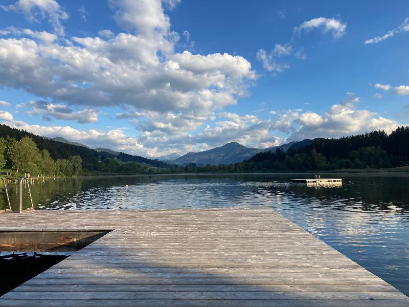 Jerà am Furtnerteich&Grebenzen Hotel Ristorante - Havuz