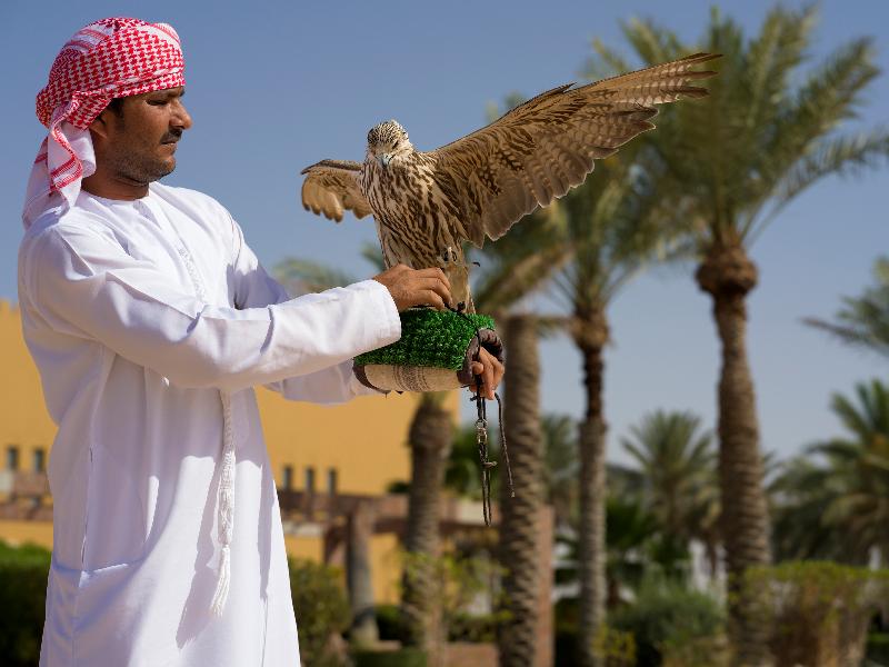 Aldhafra Resort, Vignette Collection, an IHG Hotel - Aktivite