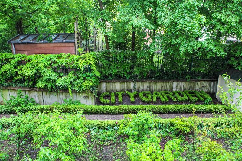 Hotel City Garden Amsterdam - Teras