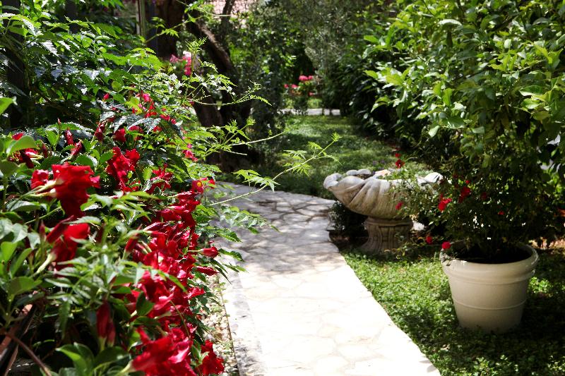 Villa Rustica Dalmatia - Genel