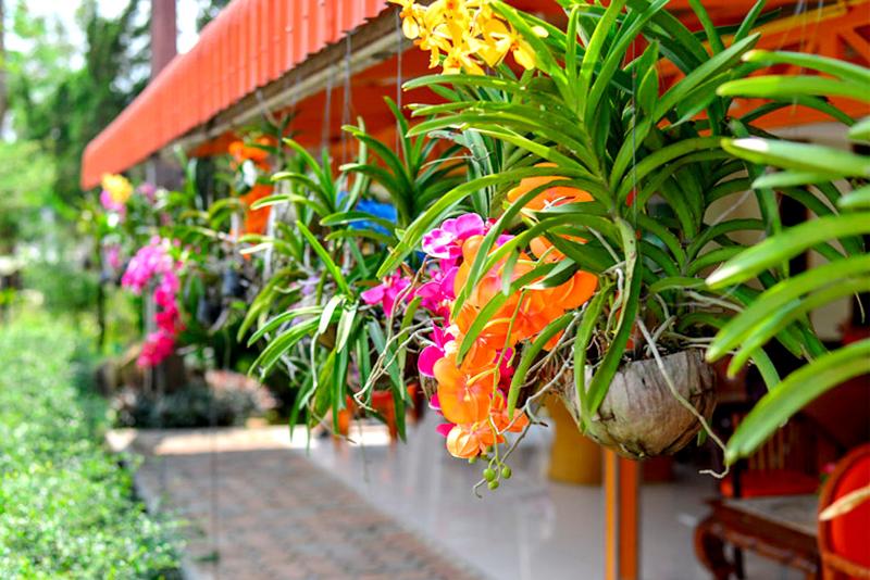 Koh Chang Resort - Lobi