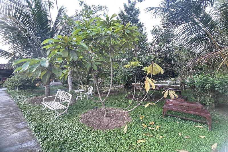 Annet Homestay Yogyakarta By Zuzu - Genel