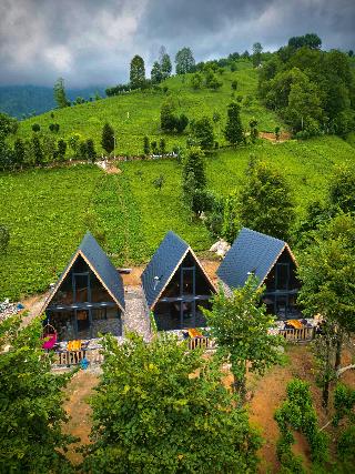Doğallife Suit Bungalov