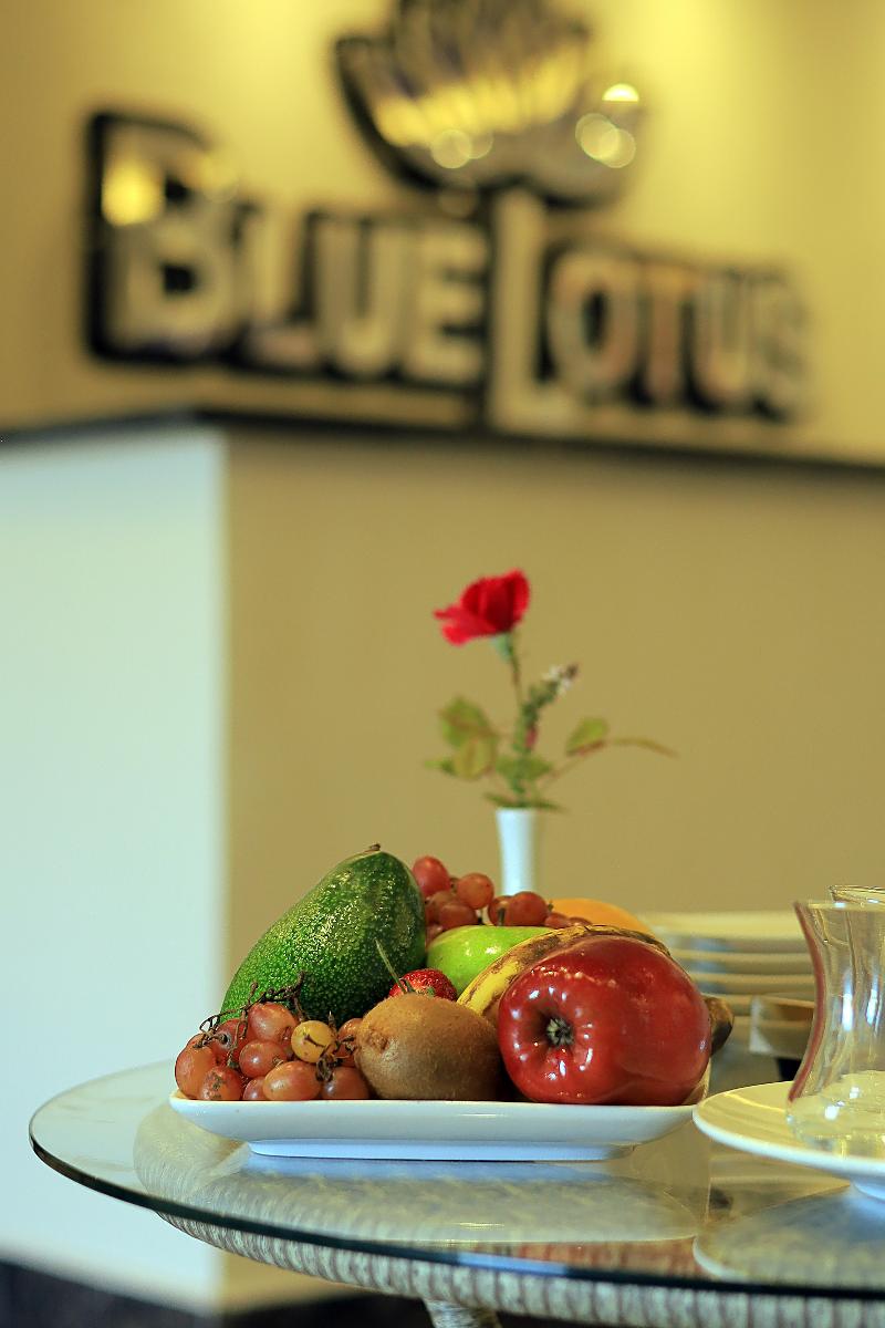 Blue Lotus Nile Suites - Lobi