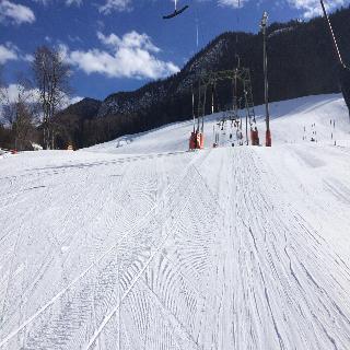 Narzissendorf Zloam fotoÄŸrafÄ±
