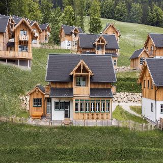 Narzissendorf Zloam fotoÄŸrafÄ±