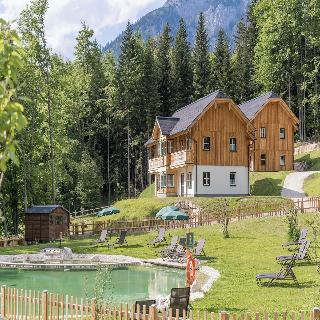 Narzissendorf Zloam fotoÄŸrafÄ±