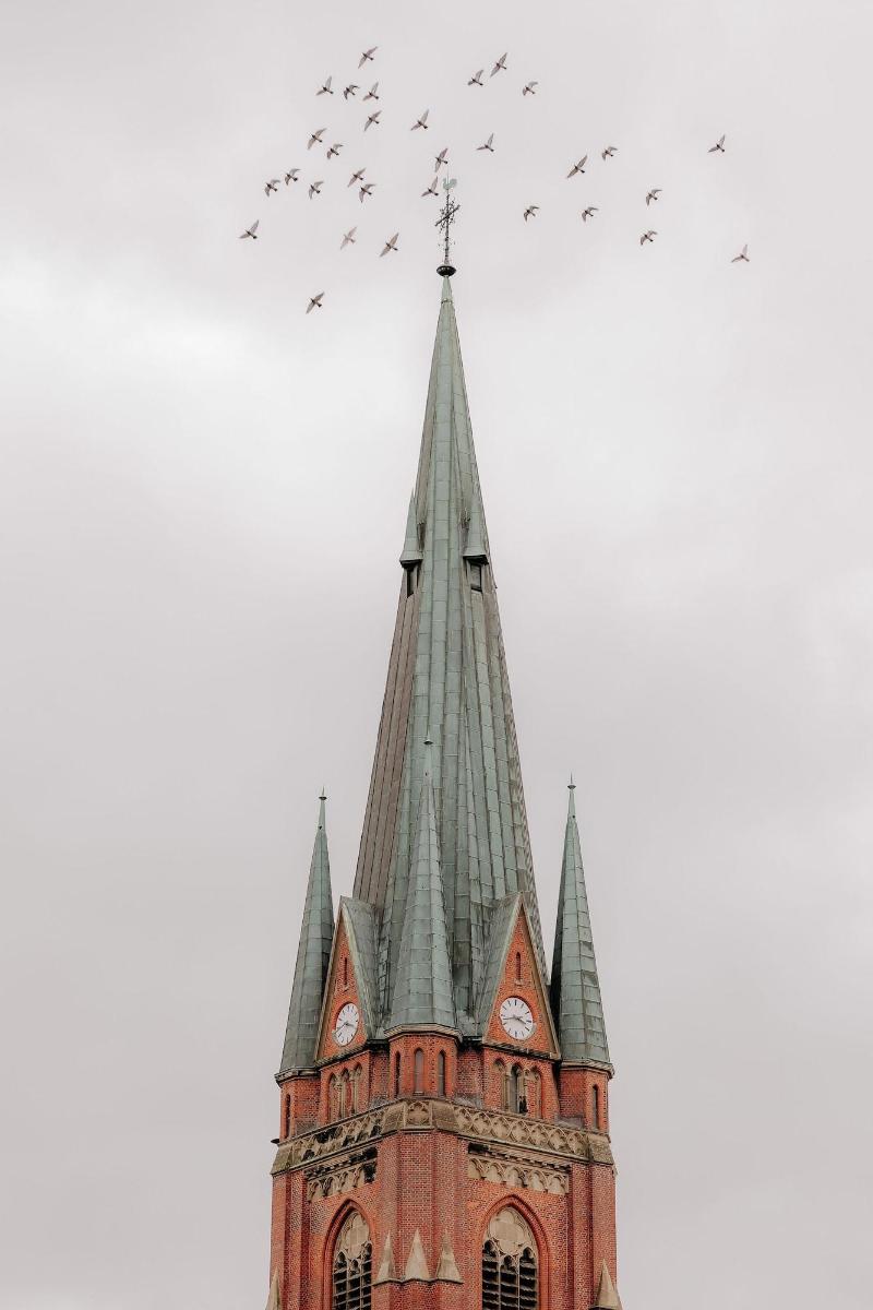 Stadtha Fe Rhede By Hackmann - Genel