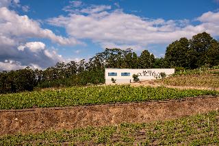 Vila Gale Collection Ponte De Lima Vineyards fotoÄŸrafÄ±
