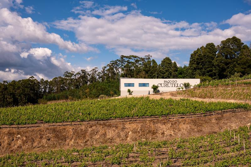 Vila Gale Collection Ponte De Lima Vineyards - Aktivite