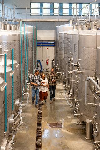 Vila Gale Collection Ponte De Lima Vineyards fotoÄŸrafÄ±