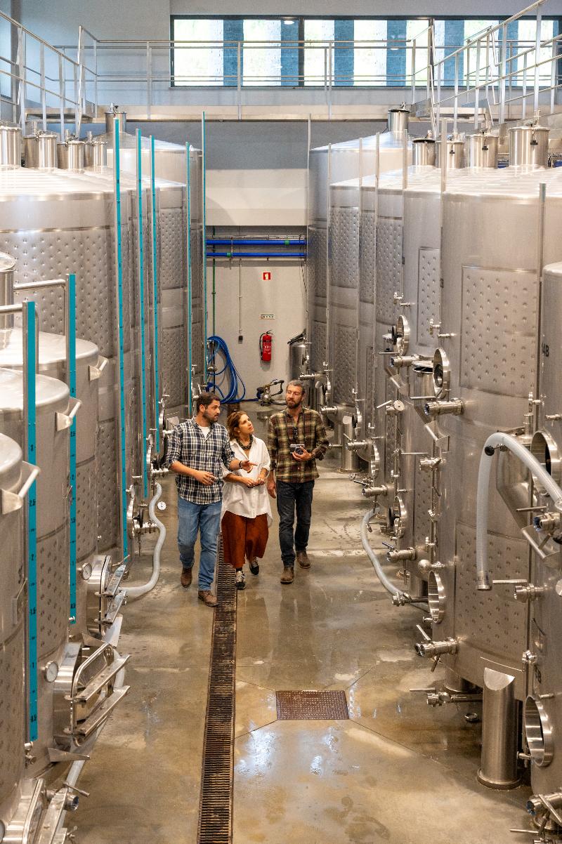 Vila Gale Collection Ponte De Lima Vineyards - Aktivite