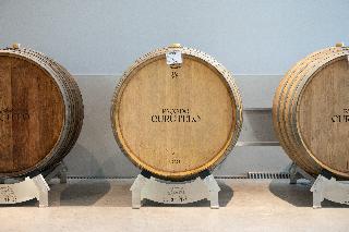 Vila Gale Collection Ponte De Lima Vineyards fotoÄŸrafÄ±