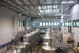 Vila Gale Collection Ponte De Lima Vineyards fotoÄŸrafÄ±