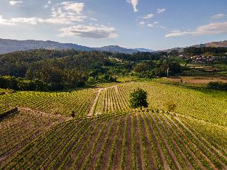 Vila Gale Collection Ponte De Lima Vineyards fotoÄŸrafÄ±