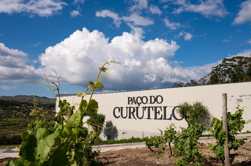 Vila Gale Collection Ponte De Lima Vineyards - Aktivite