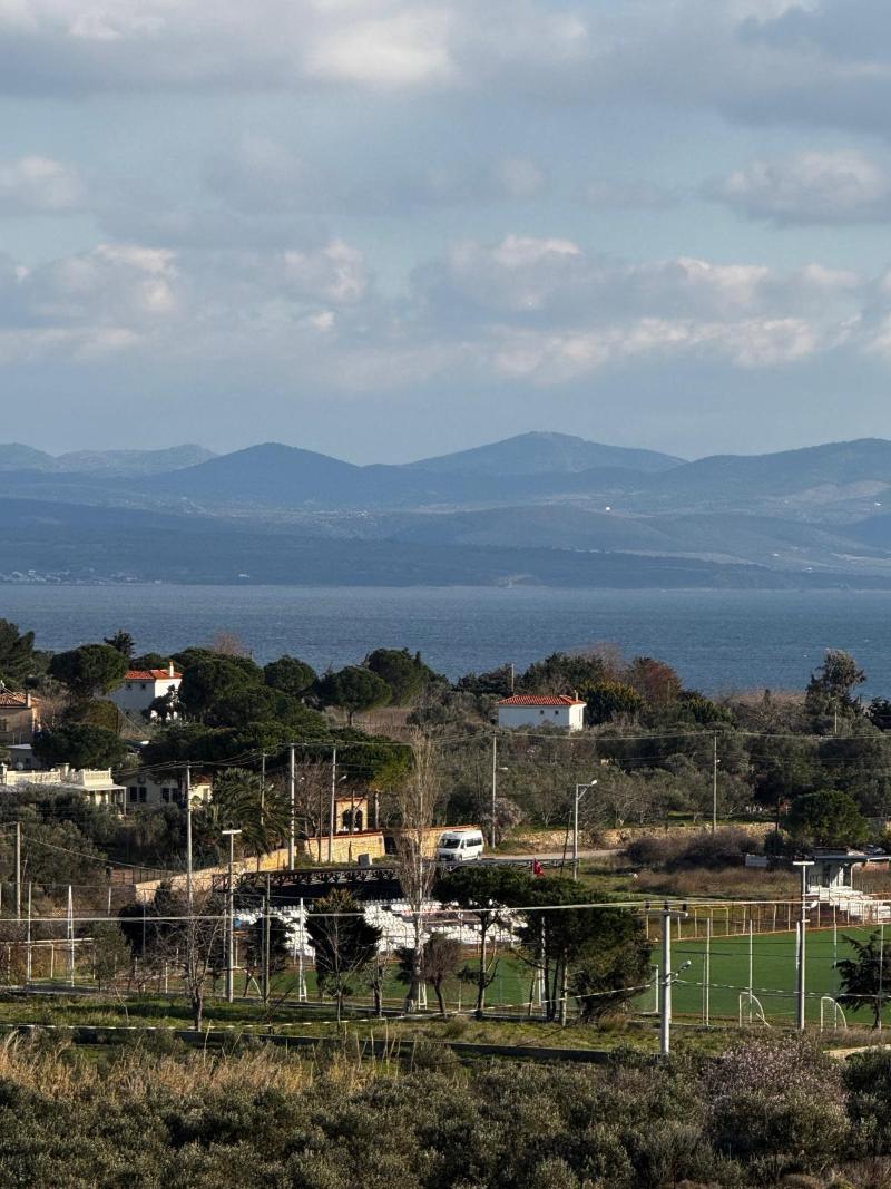 Dione Bozcaada - Genel