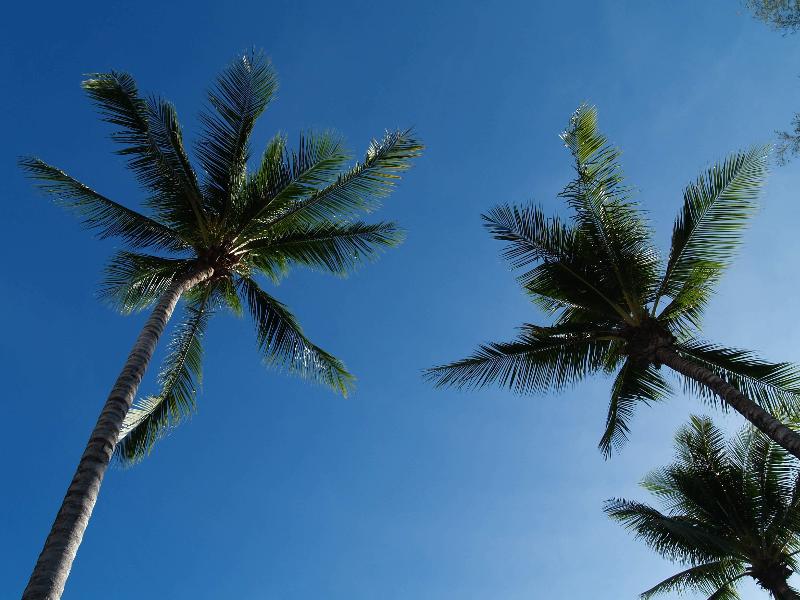 Bangtao Village Resort - Plaj
