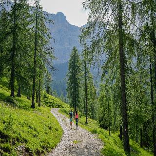 Soleil -Alpine Lifestyle Hotel fotoÄŸrafÄ±